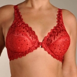Valmont Embroidered Lace Front Closure Underwire Bra Style 8323 Red 38D