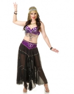 Women's Small 5-7 Purple And Silver Arabian Jeweled Beaded Belle Dancer Costume