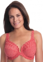 Amoureuse Women's Plus Size Embroidered Front Hook Underwire Bra By Amoureuse Terracotta,38 Dd