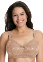 Comfort Choice Women's Plus Size Bra, Soft Lace Wireless, (Nude,38 B)
