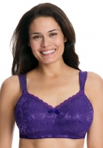Comfort Choice Women's Plus Size Bra, Soft Lace Wireless, (Royal Grape,38 B)