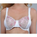 Valmont Embroidered Lace Underwire Minimizer Bra 427 Ivory 44C