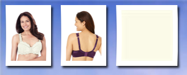 Amoureuse 0160000270109mk36B~36 B